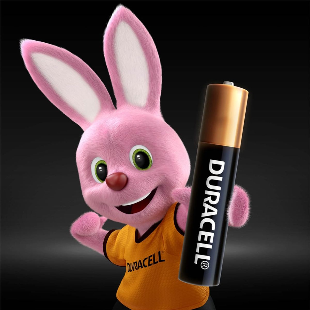 DURACELL - Pack 24 Pilas alcalinas Duracell  AAAA  1,5v