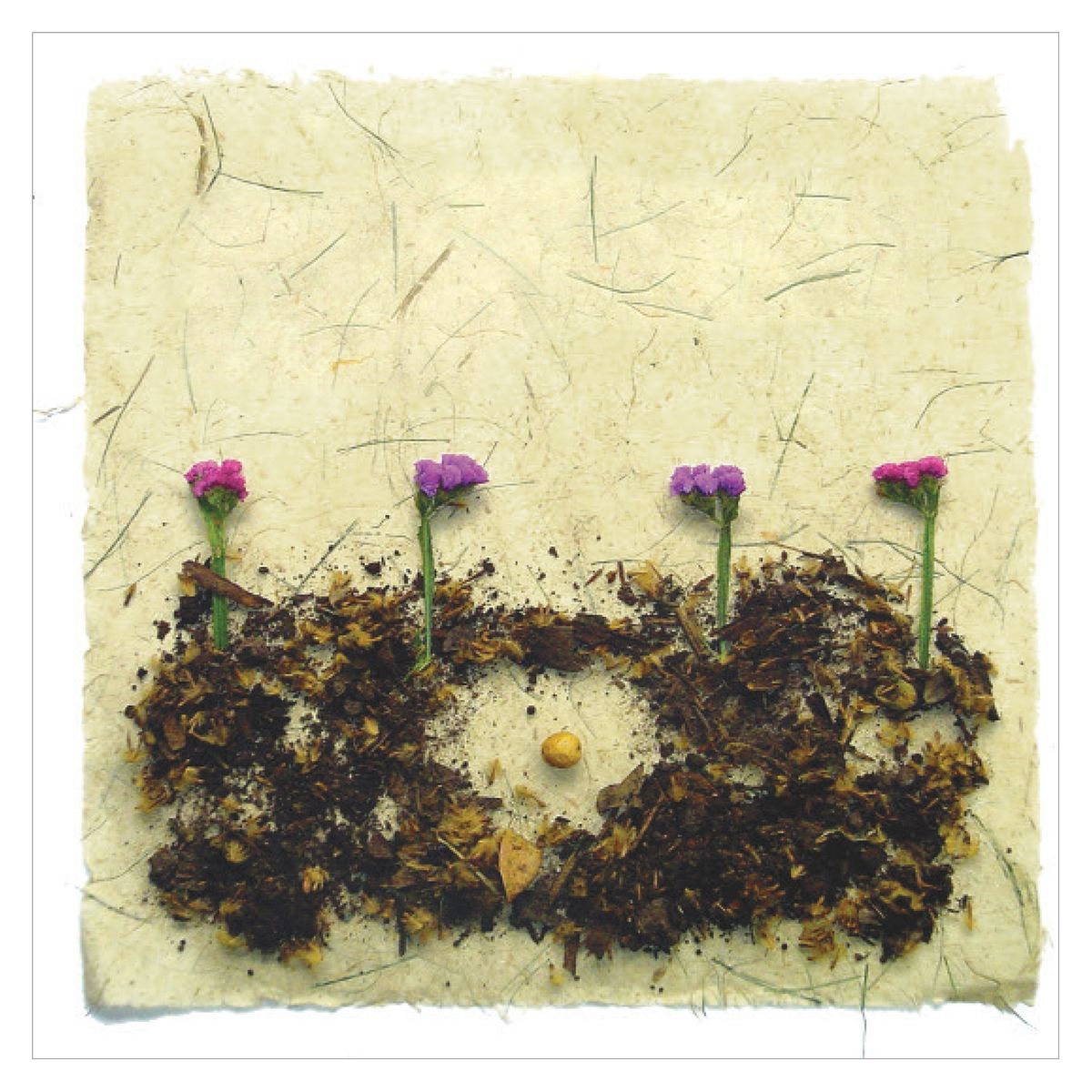 RECREALIBROS - Libro infantil EN EL JARDÍN