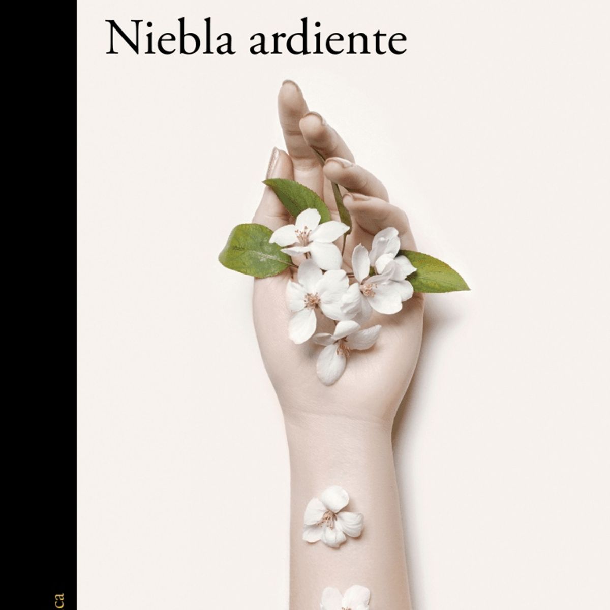 TOP10BOOKS - LIBRO Niebla Ardiente - Niebla Ardiente