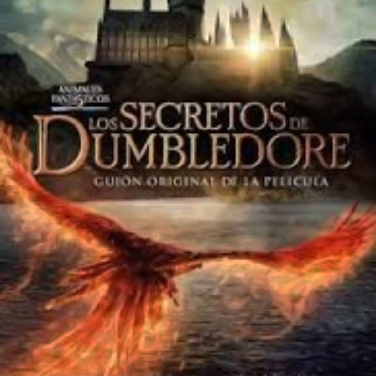 TOP10BOOKS - LIBRO LOS SECRETOS DE DUMBLEDORE /226