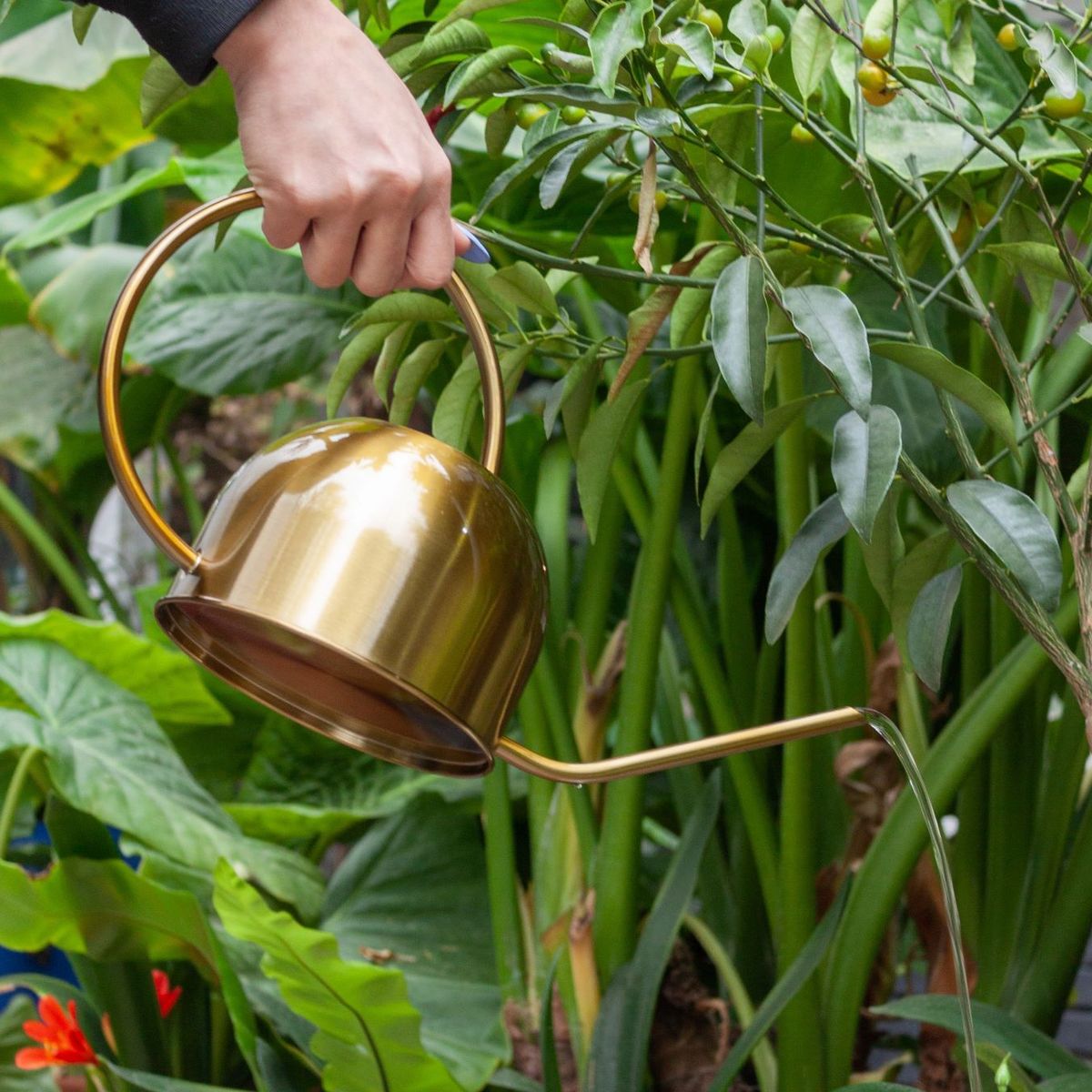 PLANT ME - Regadera de Metal Berna Dorada