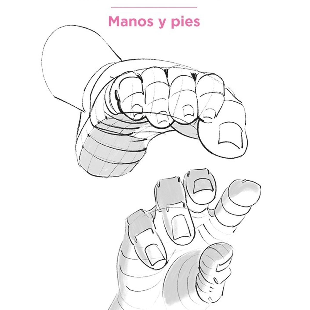 GUSTAVO GILI - Anatomía Artística 6