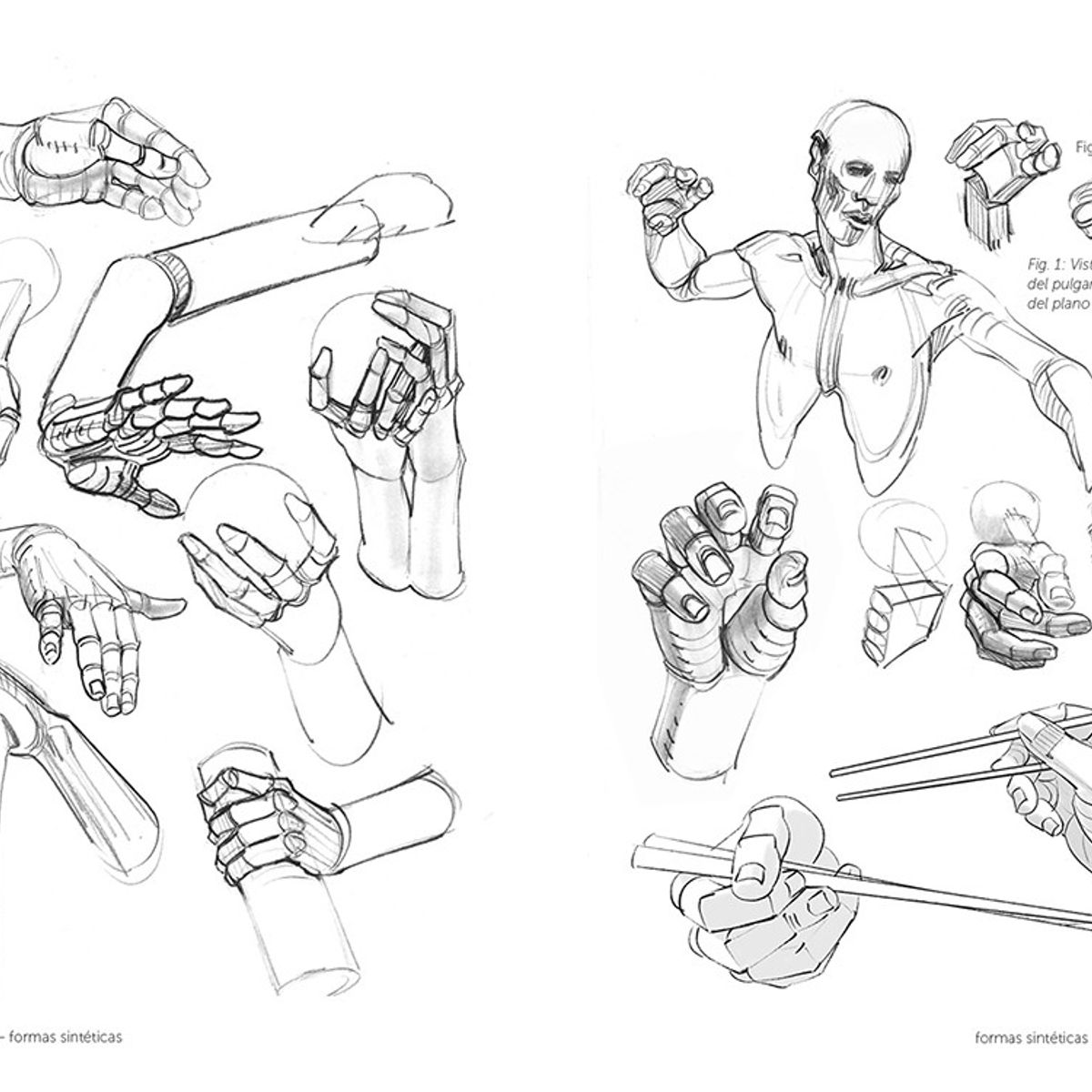 GUSTAVO GILI - Anatomía Artística 6