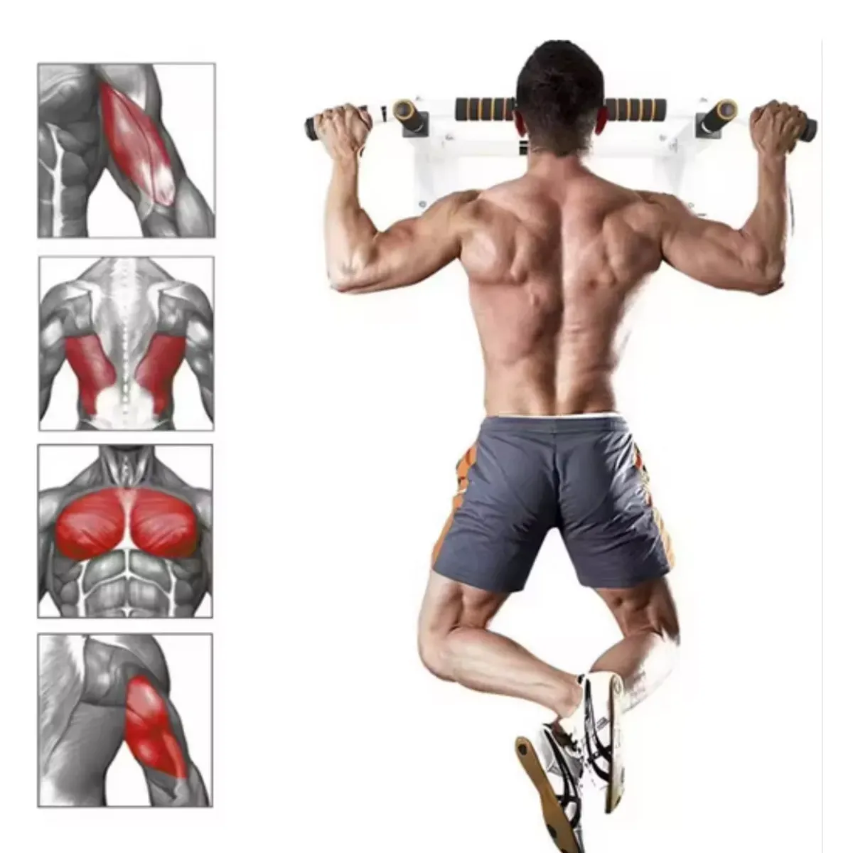 SDFIT - Barra multifuncional de muralla para dominadas WG-004