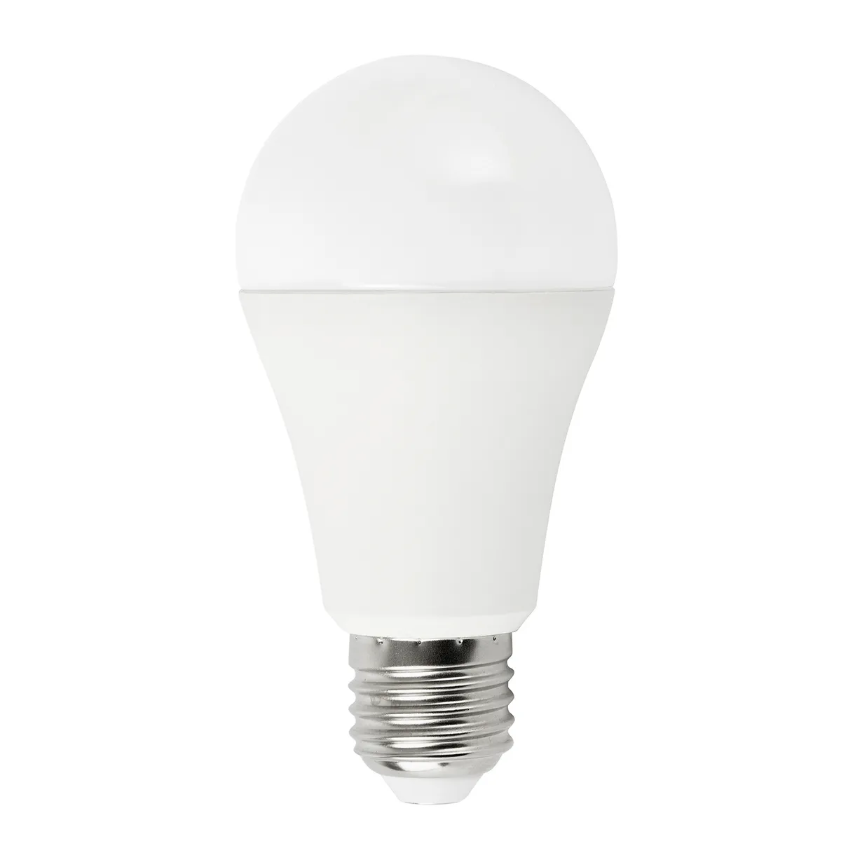 WANT - Pack de 10 Ampolletas LED E-27 12W Frio