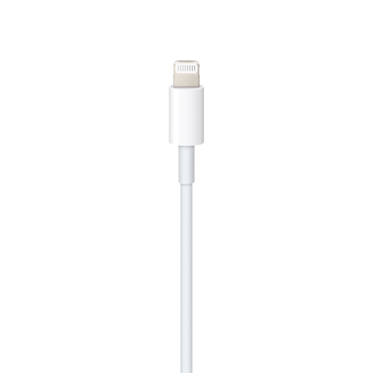 APPLE - Cable Apple USB-C a Lightning Original 2 mts
