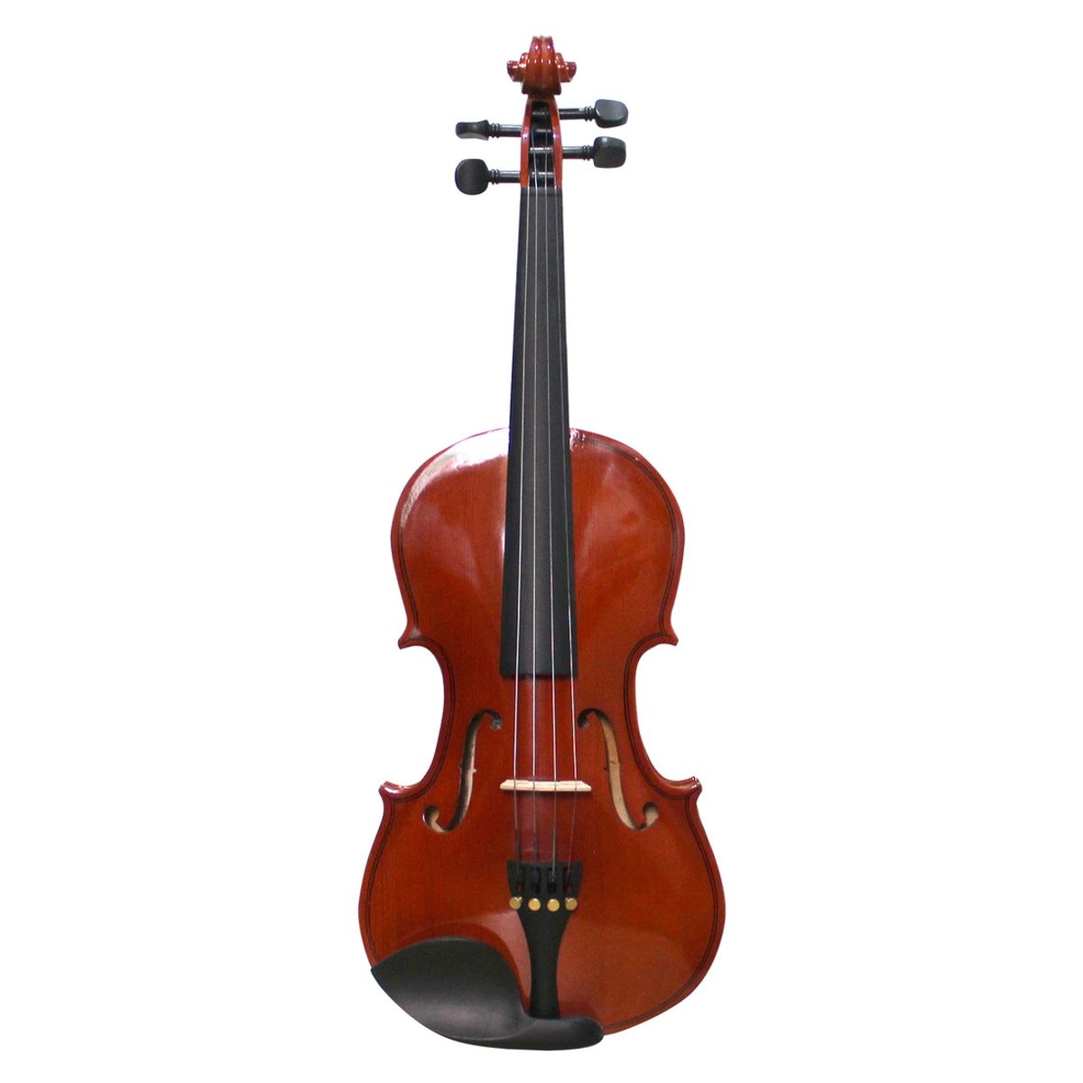 LIVORNO - Violin Livorno Solid Ebony 4/4 Liv-50