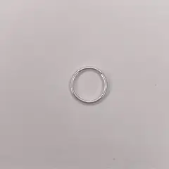GENERICO - Aros Mujer Piercing Argolla torsión Plata 8mm Acero Philippa Joyas