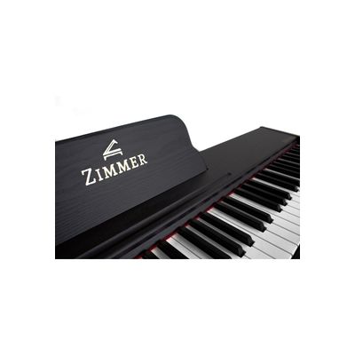 Imagen 2 del producto Piano Digital Portable Negro ZIM-800-BK