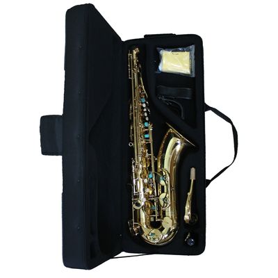 Imagen 2 del producto Saxofón Alto Dorado All6430L
