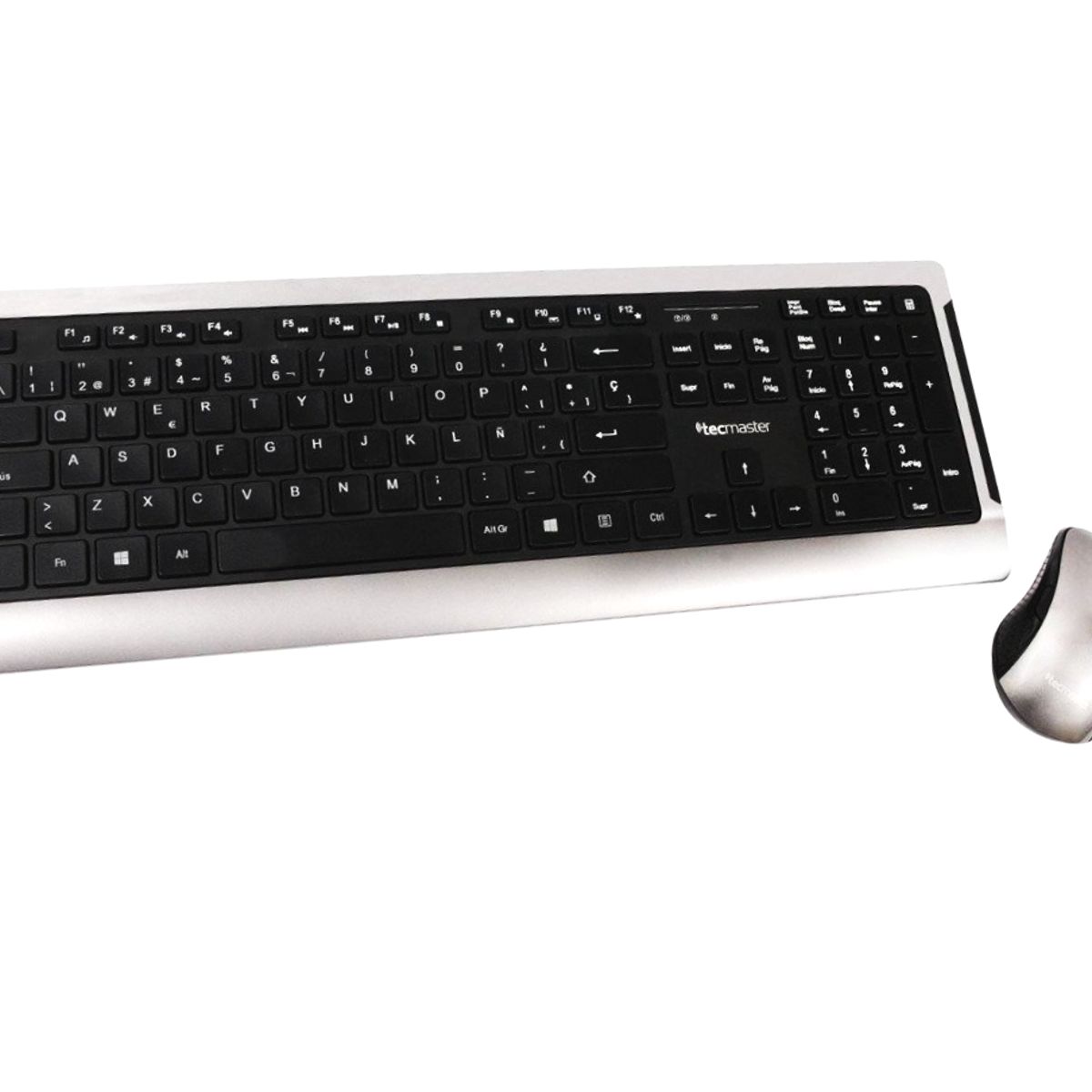 TECMASTER - Teclado y Mouse Inalambrico Teclas Planas Tecmaster LD100