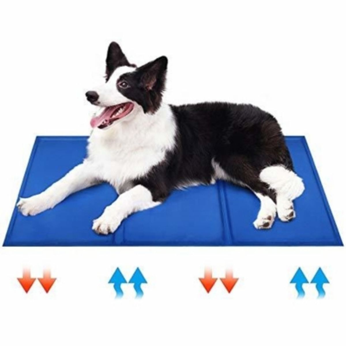 OEM - Manta Para Perros Refrescante Térmica Mascotas Talla M 40X50CM