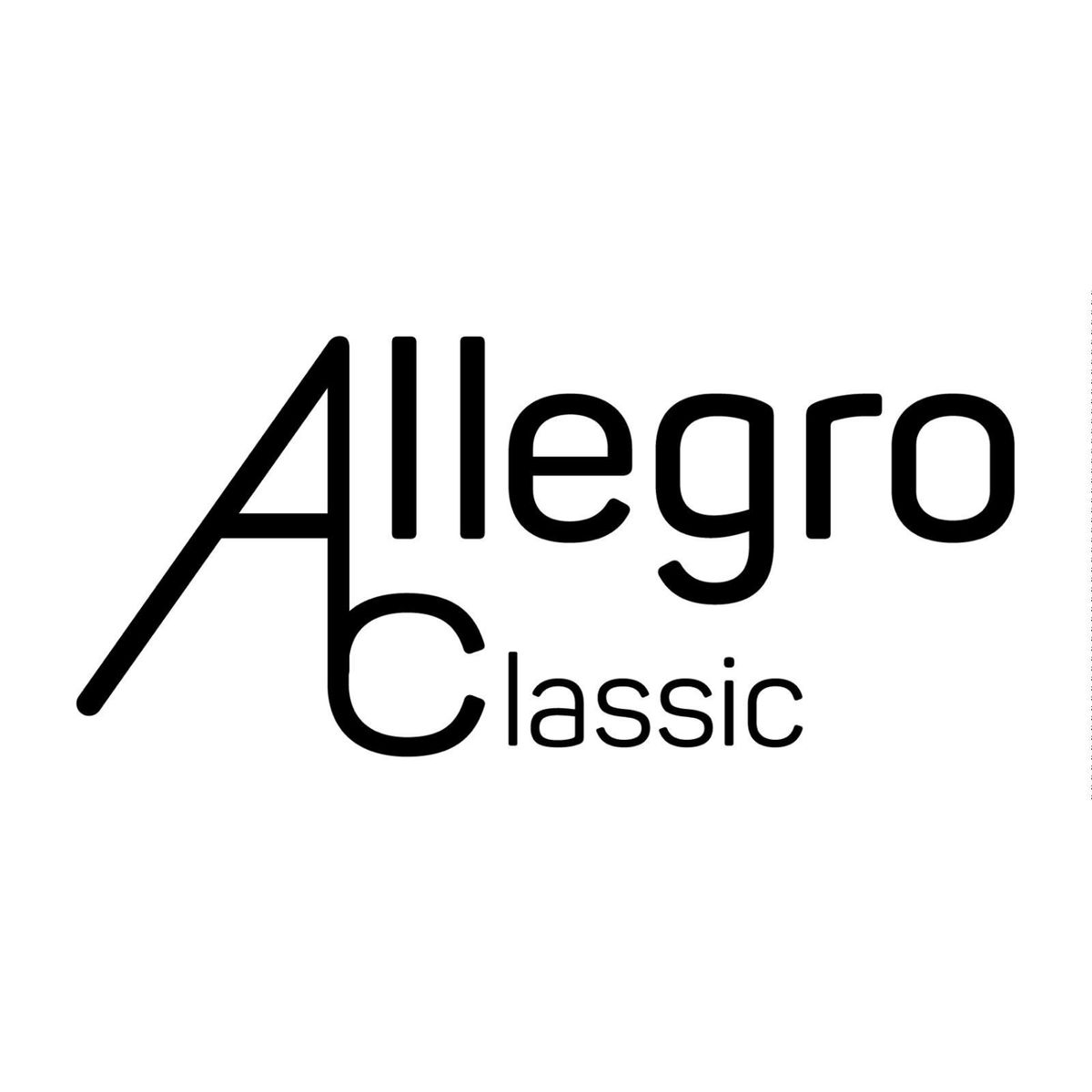 ALLEGRO - Tamborin Ajustable 20 Cms All812