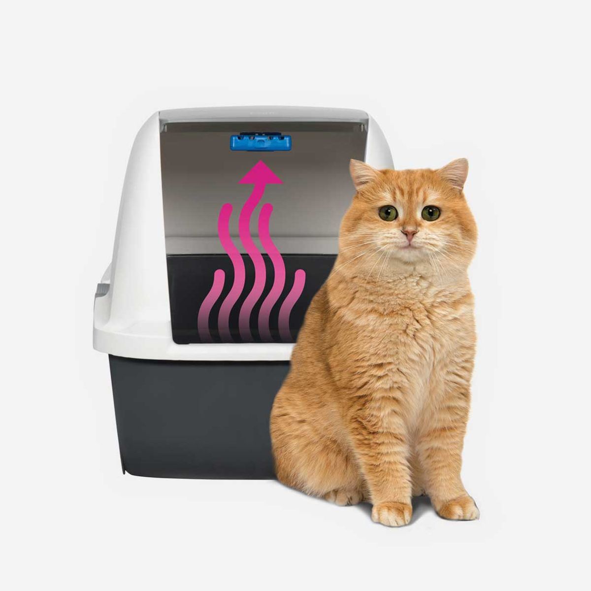 CATIT - Kit Cartucho Catit Magic Blue + 2 Almohadillas.