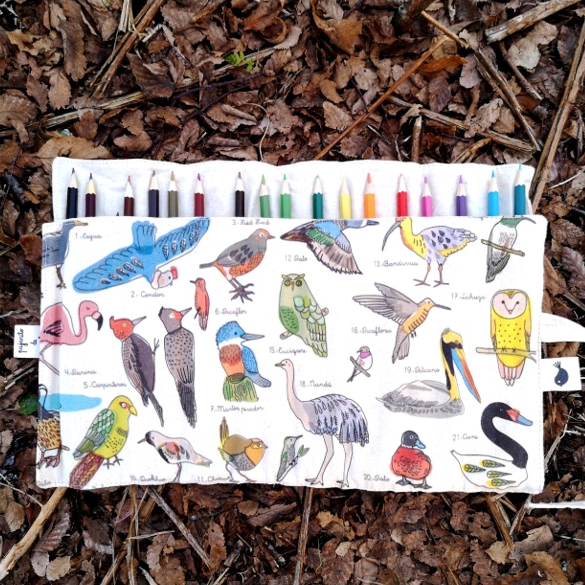 PAJARITO DE MIMBRE - Estuche Lapicera Diseño Aves Chilenas Pajarito de Mimbre