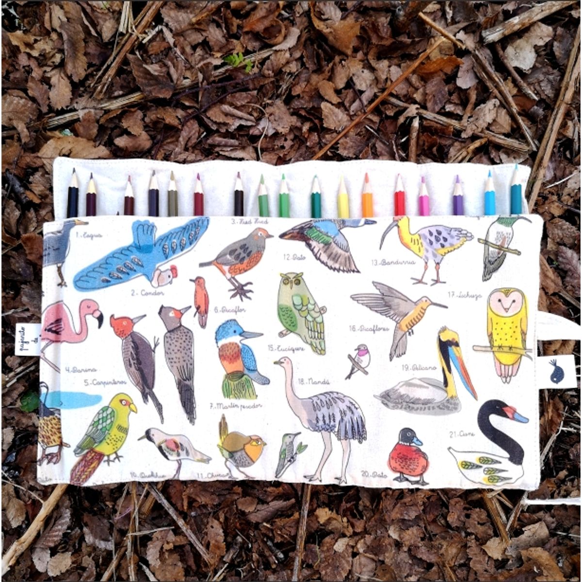 PAJARITO DE MIMBRE - Estuche Lapicera Diseño Aves Chilenas Pajarito de Mimbre