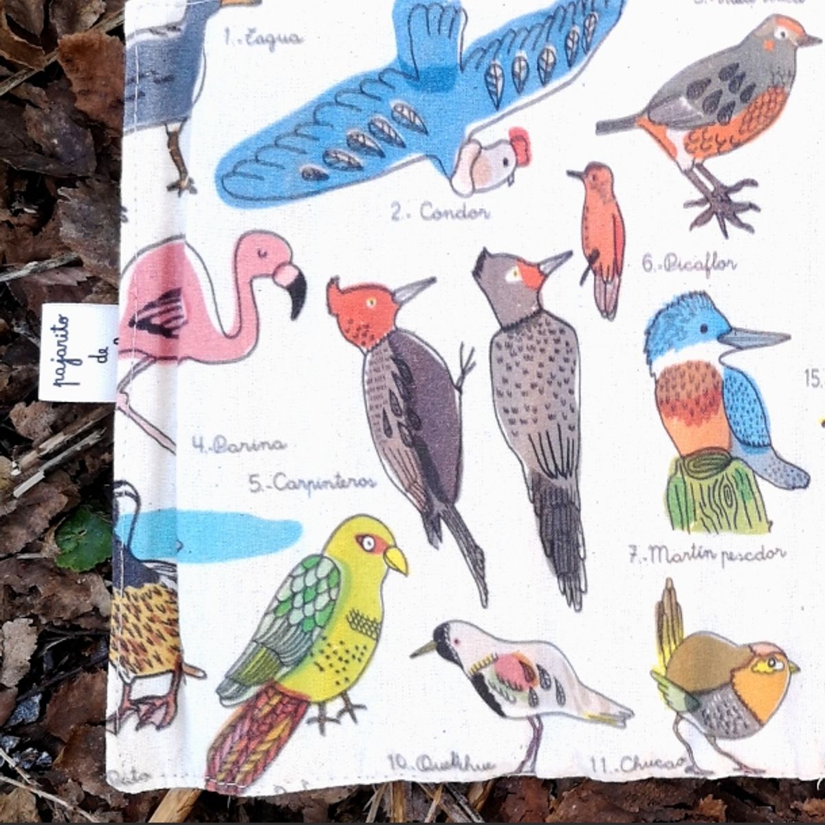 PAJARITO DE MIMBRE - Estuche Lapicera Diseño Aves Chilenas Pajarito de Mimbre