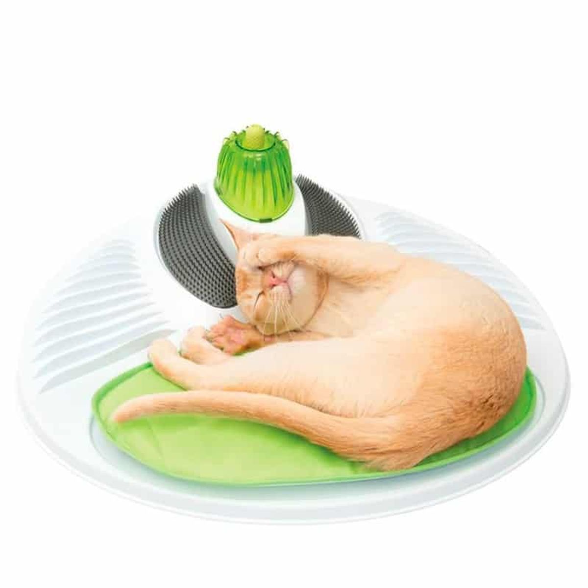 CATIT - Centro Entretencion Catit Wellness Center Para Gato