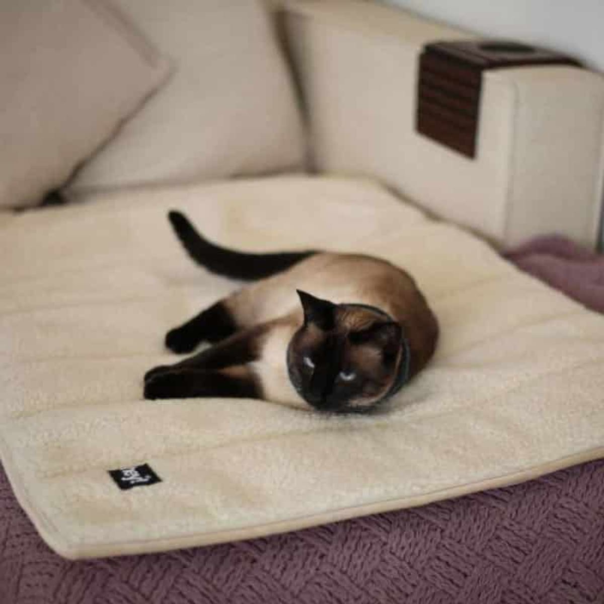 PETPRO - Calientacamas con Chiporro Hey! Talla Large, 102 x 70cms