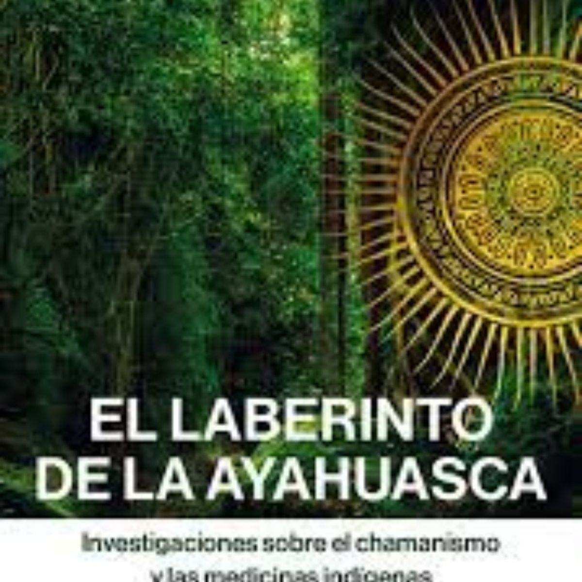 TOP10BOOKS - LIBRO El Laberinto De La Ayahuasca - El Laberinto De La Ayahuasca