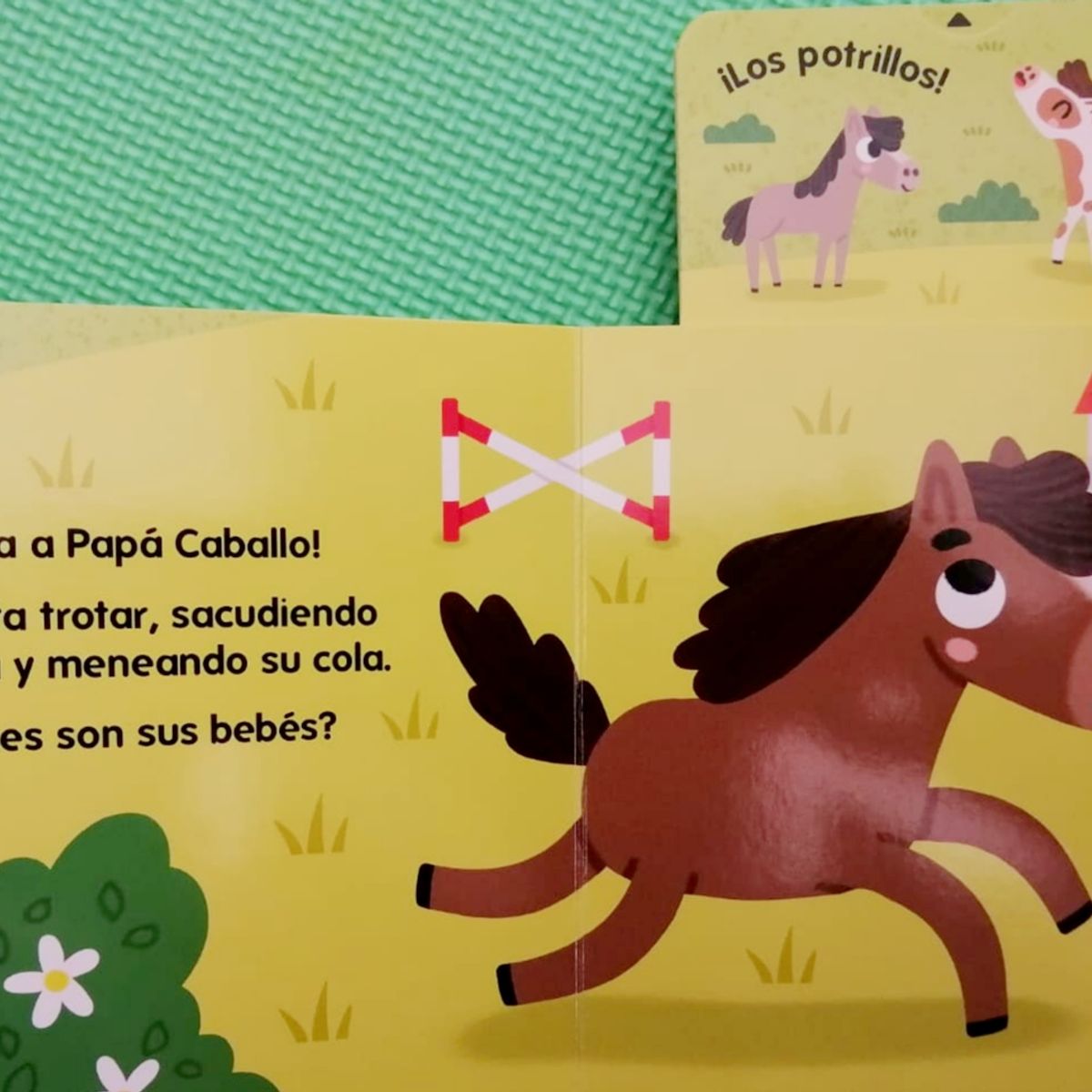 TOP10BOOKS - LIBRO ¿quiénes Nacieron En La Granja? - ¿Quiénes Nacieron En La Granja?