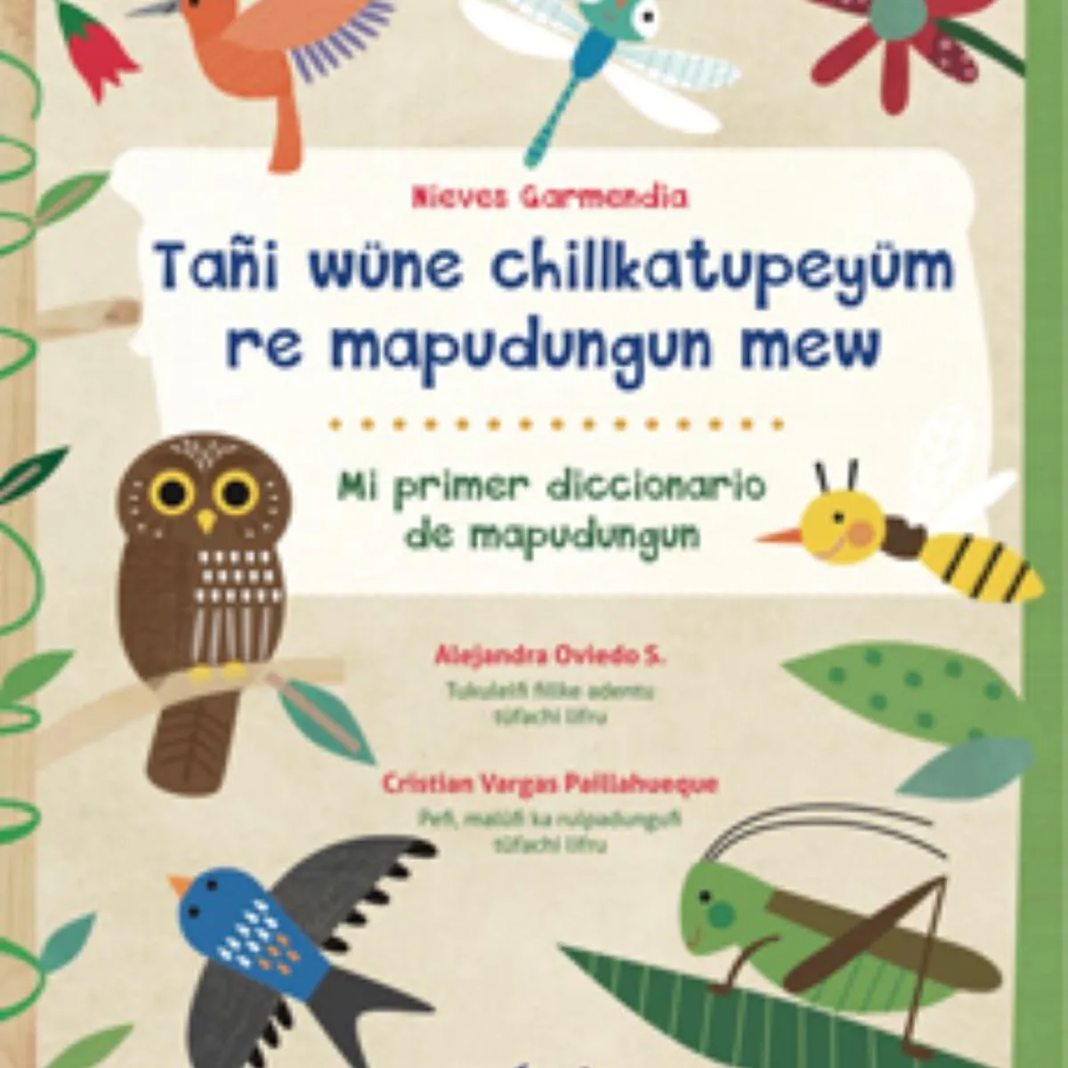 TOP10BOOKS - LIBRO Tani Wune Chillkatupeyum Re Mapudungun Mew / Mi Primer Diccionario De