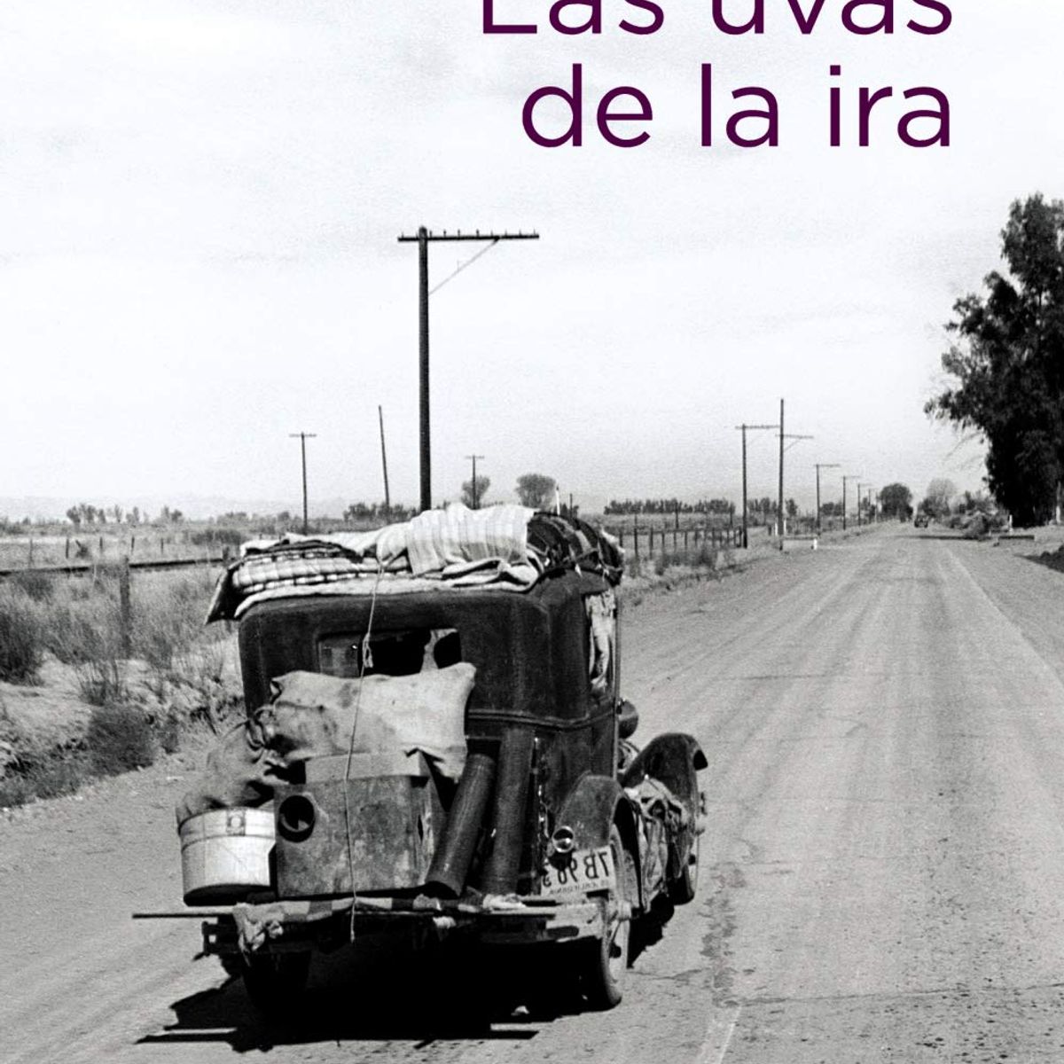 TOP10BOOKS - LIBRO LAS UVAS DE LA IRA /590