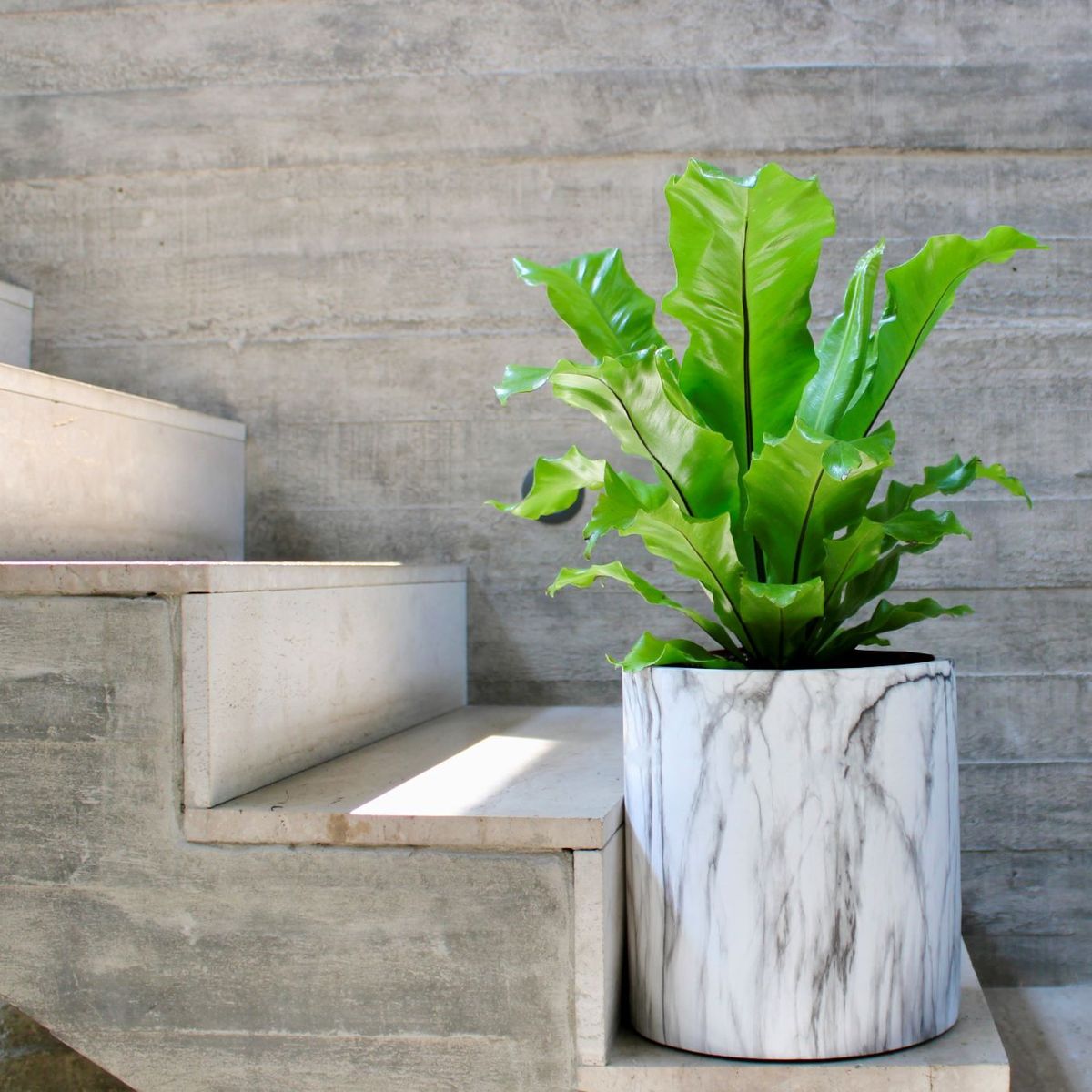 PLANT ME - Macetero de Cerámica Nordico Blanco L