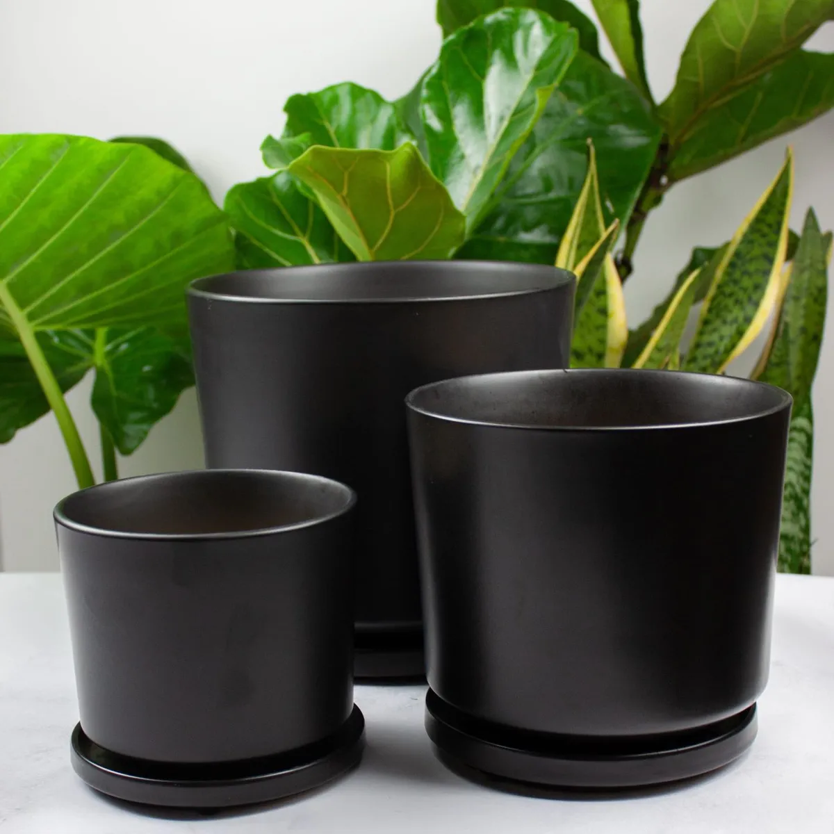 PLANT ME - Macetero Cerámica Negro Dinamarca 24