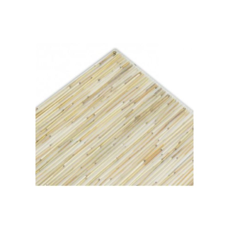 DVP - Policarbonato Polibambú 1x2mts 8mm DVP DVP