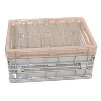 Caja organizadora Plegable armable 25 x 15 x 10,5 cm (L8801)