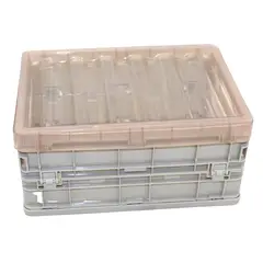 GENERICO - Caja organizadora Plegable armable 25 x 15 x 10,5 cm (L8801).