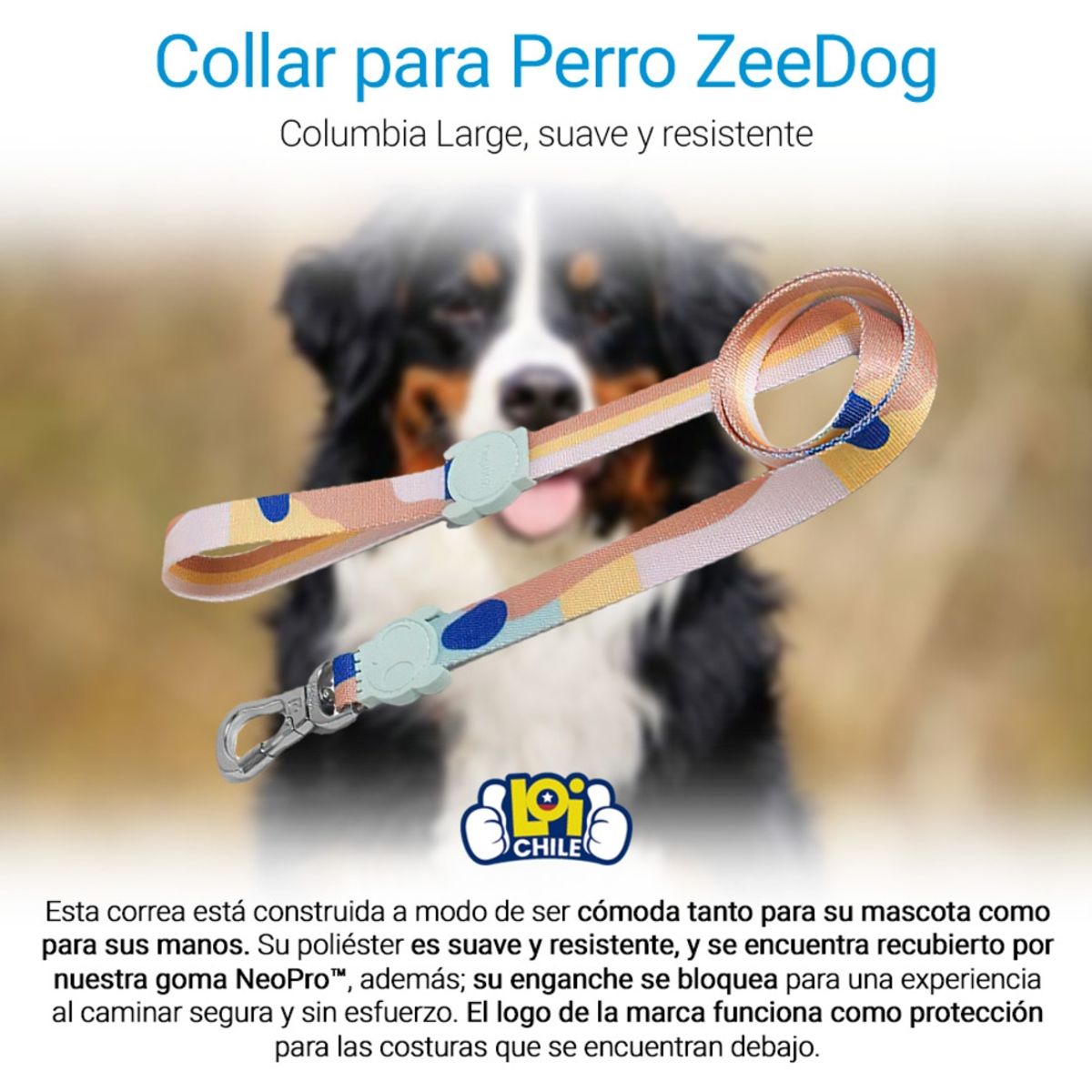 ZEEDOG - Correa Para Perro Zedoog Columbia Large ZEEDOG