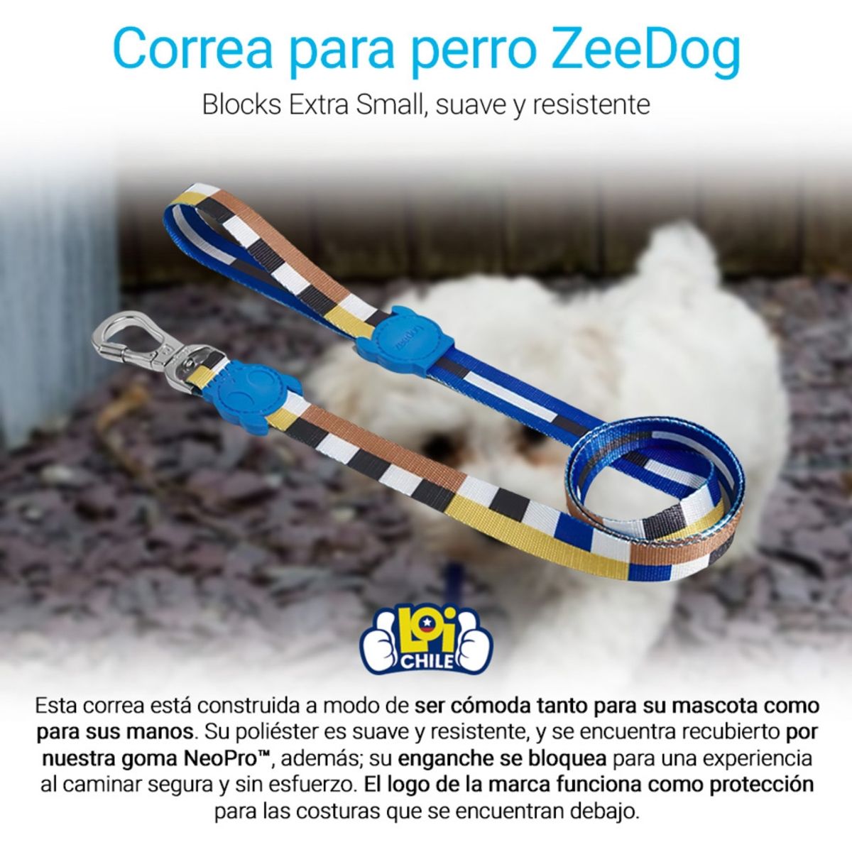 ZEEDOG - Correa Para Perro Zedoog Blocks ExtraSmall ZEEDOG