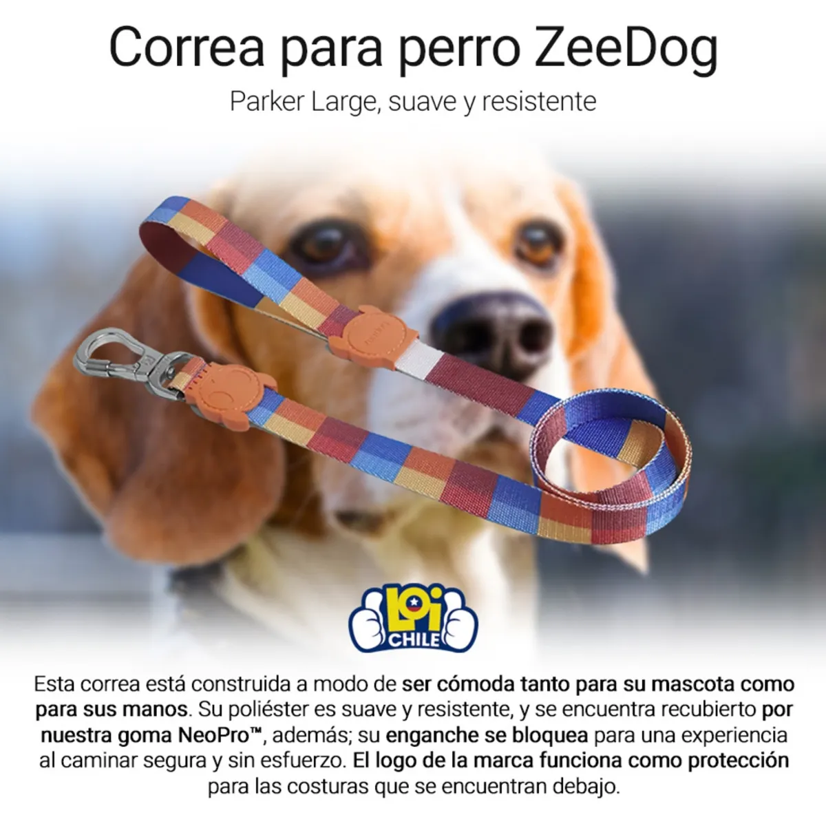 ZEEDOG - Correa Para Perro ZeeDoog Parker Large ZEEDOG