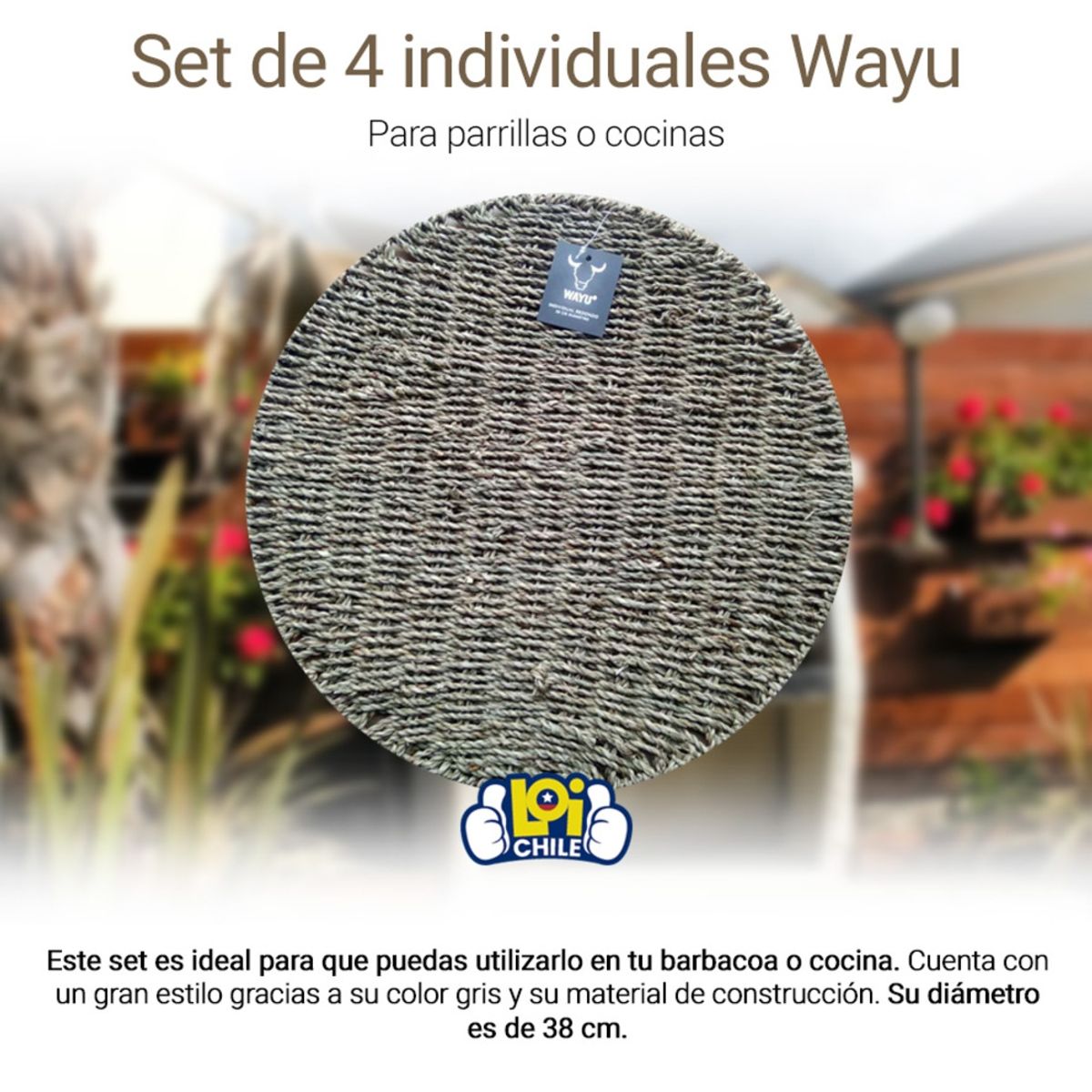 WAYU - Set De 4 Individuales Redondos Wayu WAYU