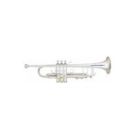 Trompeta Nikelada Silver All6416N