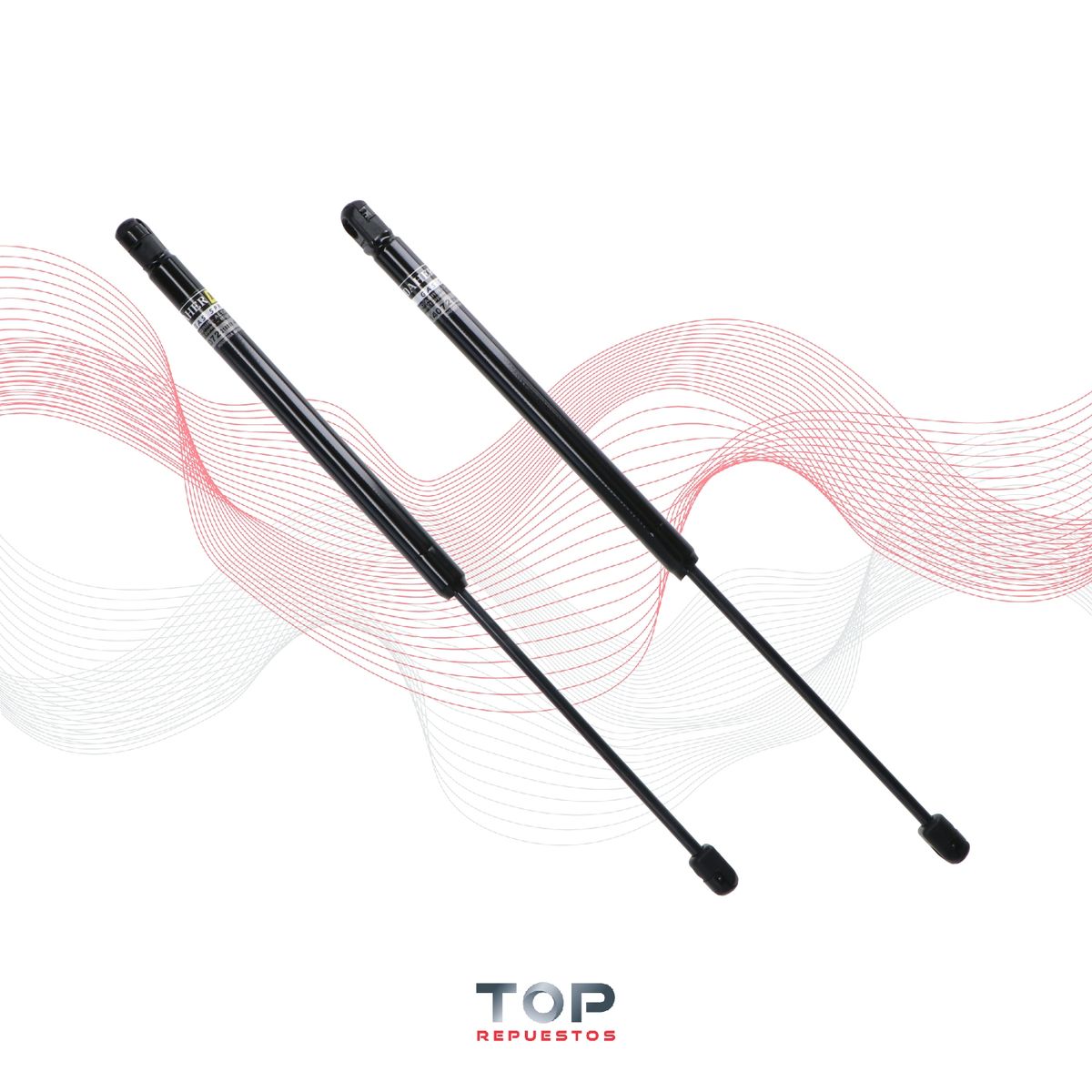 GENERICO - Par Amortiguadores Capot Dodge Ram 2500 4wd 04/07