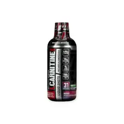 l-carnitine function The Role of l-Carnitine in Mitochondria, Prevention of Metabolic  Inflexibility and Disease Initiation