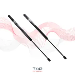 GENERICO - Par Amortiguadores Capot Dodge Ram 2500 Rwd 04/07