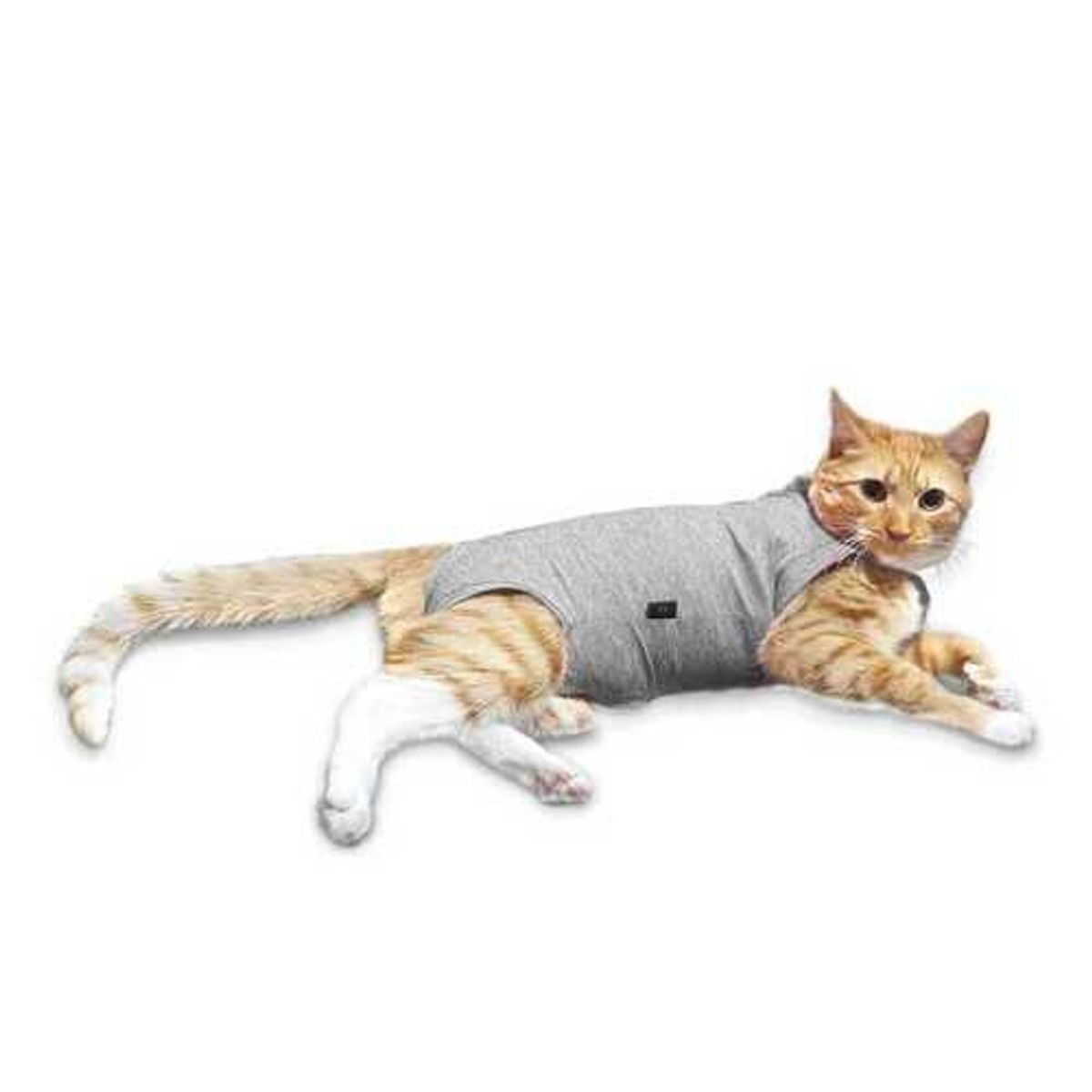 CUNATEX - Body de cobre gris para gato talla 3 (4.5 - 6 kilos)