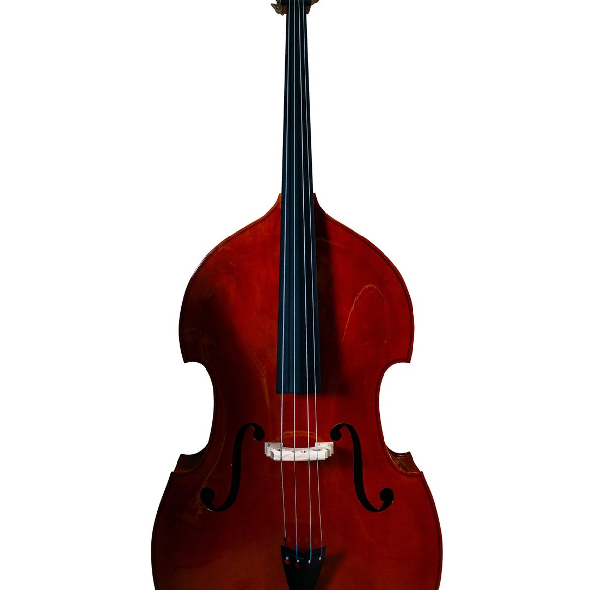 LIVORNO - Contrabajo Deluxe Livorno 3/4 Lib-700