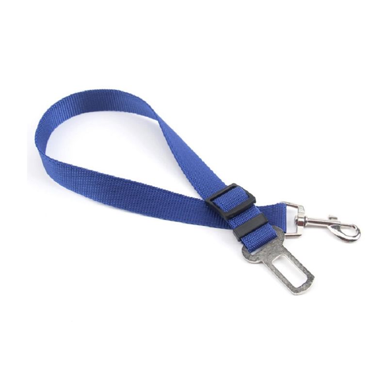 AUCKLAND OUTDOOR - Cinturon de Seguridad Para Mascota. Azul