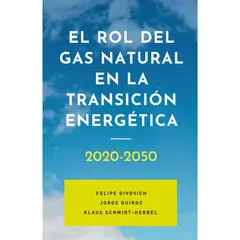 EL LIBERO - El Rol Del Gas Natural En La Transición Energética