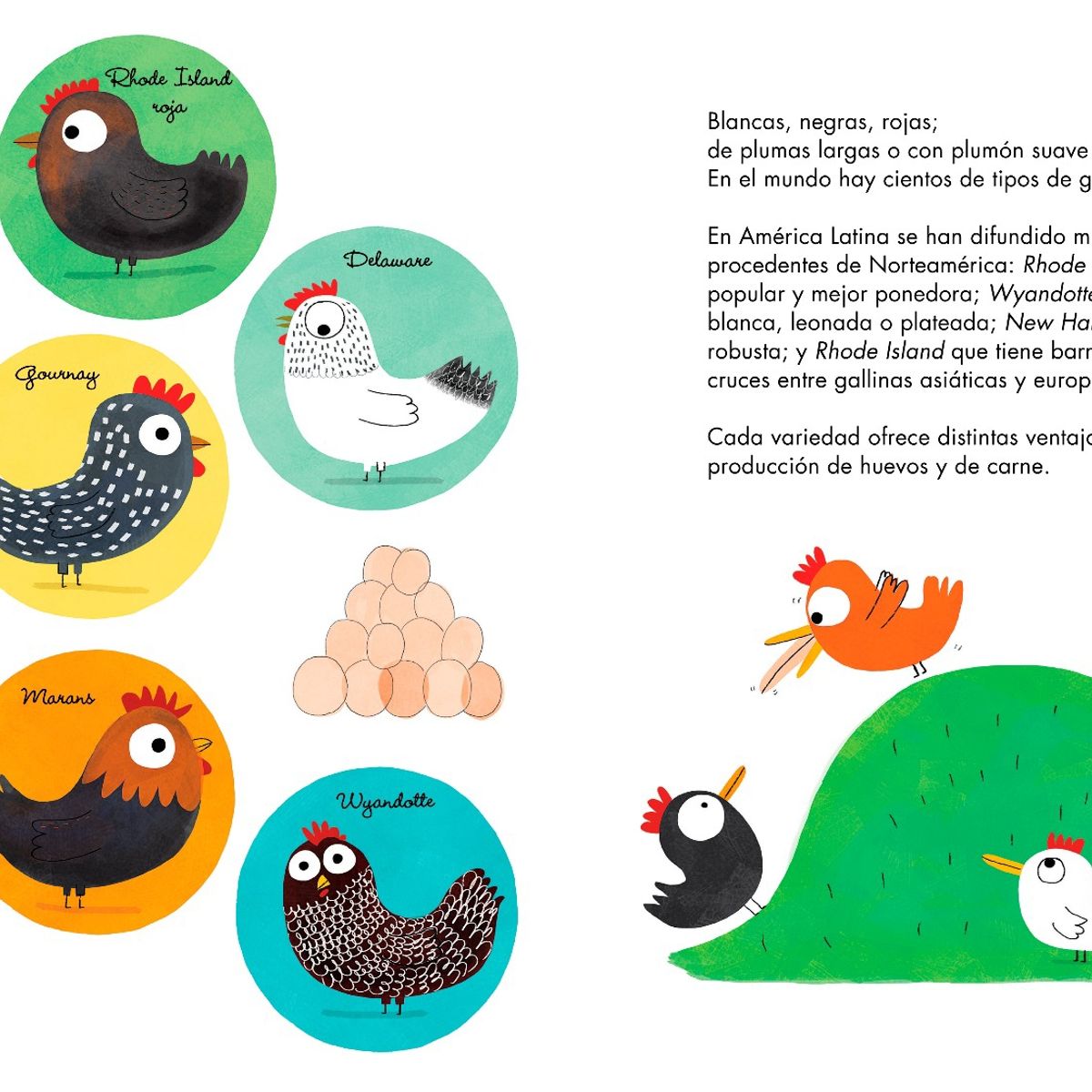 ZIG ZAG - Los Huevos