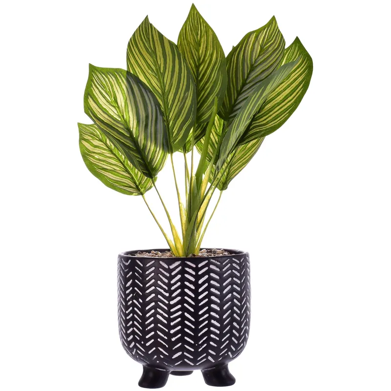 MALLORCA - Planta Artificial Dieffenbachia Maceta Mali