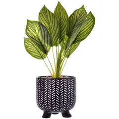 MALLORCA - Planta Artificial Dieffenbachia Maceta Mali