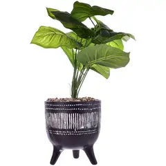 MALLORCA - Planta Artificial Dieffenbachia Maceta Congo