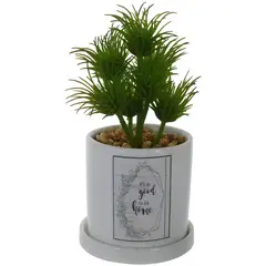 MALLORCA - Planta Decorativa Good To Be Home Maceta Blanca