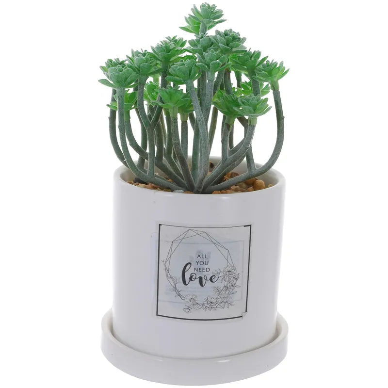 MALLORCA - Planta Decorativa All You Need Love Maceta Blanca